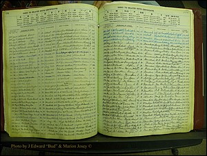 Madison Births, Delayed  + Book 1, A-K 113.JPG