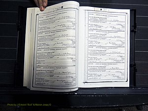 Monroe Co, GA, Marriages, Book H, 1907-1913 pg 088-089.JPG