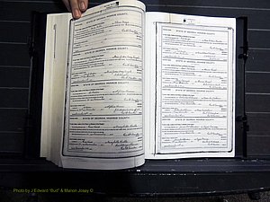 Monroe Co, GA, Marriages, Book H, 1907-1913 pg 202-203.JPG