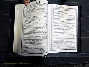 Monroe Co, GA, Marriages, Book H, 1907-1913 pg 226-227.JPG