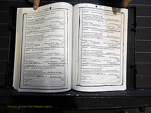 Monroe Co, GA, Marriages, Book H, 1907-1913 pg 244-245.JPG
