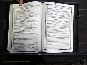 Monroe Co, GA, Marriages, Book H, 1907-1913 pg 248-249.JPG