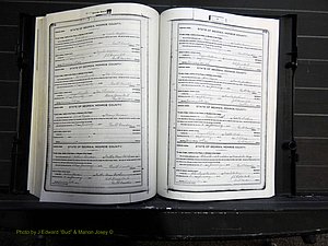 Monroe Co, GA, Marriages, Book H, 1907-1913 pg 274-275.JPG