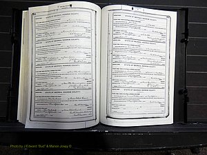 Monroe Co, GA, Marriages, Book H, 1907-1913 pg 310-311.JPG