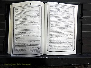 Monroe Co, GA, Marriages, Book H, 1907-1913 pg 312-313.JPG