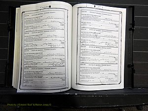 Monroe Co, GA, Marriages, Book H, 1907-1913 pg 314-315.JPG