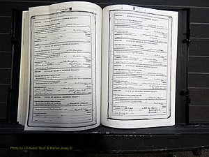Monroe Co, GA, Marriages, Book H, 1907-1913 pg 316-317.JPG