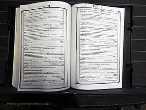 Monroe Co, GA, Marriages, Book H, 1907-1913 pg 318-319.JPG