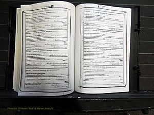 Monroe Co, GA, Marriages, Book H, 1907-1913 pg 324-325.JPG