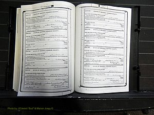 Monroe Co, GA, Marriages, Book H, 1907-1913 pg 328-329.JPG