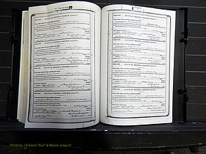 Monroe Co, GA, Marriages, Book H, 1907-1913 pg 336-337.JPG