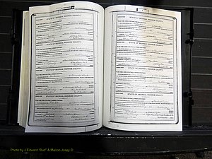 Monroe Co, GA, Marriages, Book H, 1907-1913 pg 346-347.JPG