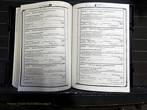Monroe Co, GA, Marriages, Book H, 1907-1913 pg 348-349.JPG