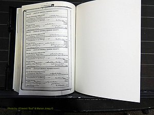 Monroe Co, GA, Marriages, Book H, 1907-1913 pg 350.JPG