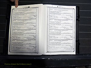 Monroe Co, GA, Marriages, Book H2, 1913-1916 pg 354-355.JPG