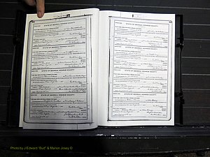 Monroe Co, GA, Marriages, Book H2, 1913-1916 pg 368-369.JPG