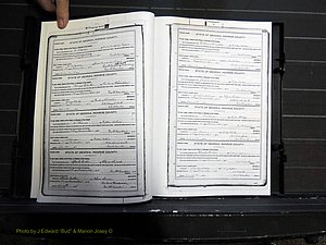 Monroe Co, GA, Marriages, Book H2, 1913-1916 pg 378-379.JPG