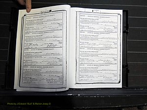 Monroe Co, GA, Marriages, Book H2, 1913-1916 pg 380-381.JPG