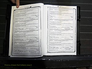 Monroe Co, GA, Marriages, Book H2, 1913-1916 pg 382-383.JPG
