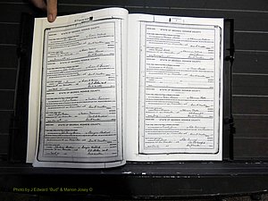 Monroe Co, GA, Marriages, Book H2, 1913-1916 pg 392-393.JPG