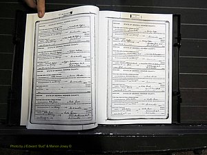 Monroe Co, GA, Marriages, Book H2, 1913-1916 pg 410-411.JPG