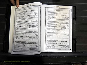 Monroe Co, GA, Marriages, Book H2, 1913-1916 pg 418-419.JPG