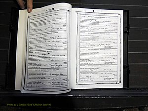 Monroe Co, GA, Marriages, Book H2, 1913-1916 pg 440-441.JPG