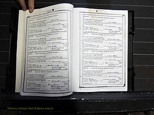Monroe Co, GA, Marriages, Book H2, 1913-1916 pg 448-449.JPG