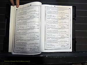 Monroe Co, GA, Marriages, Book H2, 1913-1916 pg 462-463.JPG