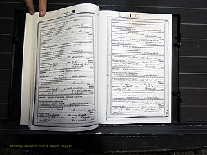 Monroe Co, GA, Marriages, Book H2, 1913-1916 pg 466-467.JPG
