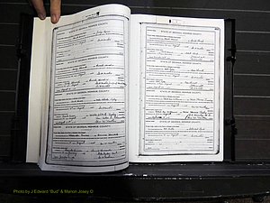 Monroe Co, GA, Marriages, Book H2, 1913-1916 pg 482-483.JPG