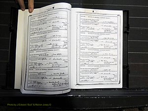 Monroe Co, GA, Marriages, Book H2, 1913-1916 pg 490-491.JPG