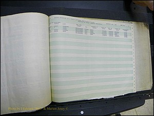 Montgomery Births, R-Z, 1867-2010 + Deaths 1913-2010 854.JPG