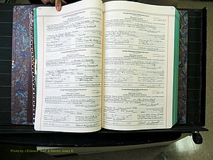 Peach Co, GA, Marriages, Book H, 2007-2013 pg 018-019.JPG