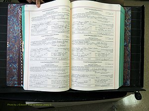 Peach Co, GA, Marriages, Book H, 2007-2013 pg 046-047.JPG
