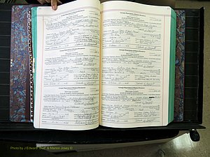 Peach Co, GA, Marriages, Book H, 2007-2013 pg 064-065.JPG