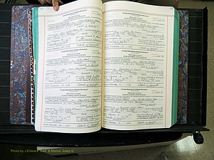 Peach Co, GA, Marriages, Book H, 2007-2013 pg 074-075.JPG