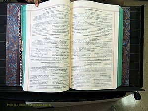Peach Co, GA, Marriages, Book H, 2007-2013 pg 132-133.JPG
