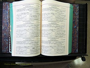 Peach Co, GA, Marriages, Book H, 2007-2013 pg 216-217.JPG
