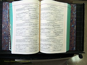 Peach Co, GA, Marriages, Book H, 2007-2013 pg 226-227.JPG