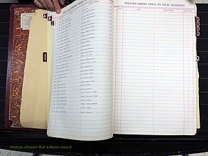 Stokes Co, NC, Delayed Births (121).JPG