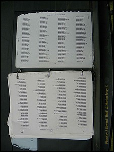 Swain Births & Deaths, 1913-up 458.JPG