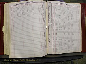 Union Co, NC Births, L-Z, 1913-1937 (171).JPG