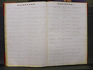 Union Co, NC Marriage Book 3, A-Z, 1873-1884 (79).JPG