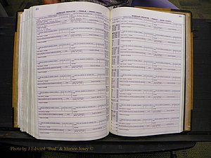 Union Co, NC Marriages Female Index, A-Z, 1966-1979 (303).JPG