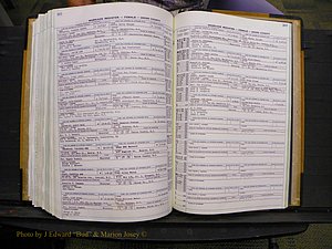 Union Co, NC Marriages Female Index, A-Z, 1966-1979 (304).JPG