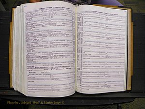 Union Co, NC Marriages Female Index, A-Z, 1966-1979 (308).JPG