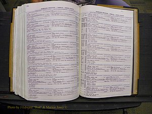 Union Co, NC Marriages Female Index, A-Z, 1966-1979 (313).JPG