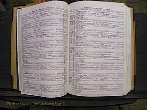 Union Co, NC Marriages Female Index, A-Z, 1966-1979 (45).JPG