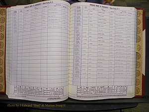 Union Co, NC Marriages Female Index, A-Z, 1980-1993 (115).JPG